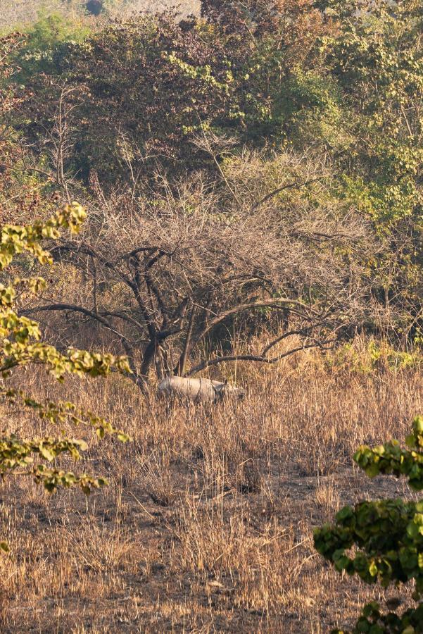 Tiger Tops Karnali Lodge Bardiya Buitenkant foto