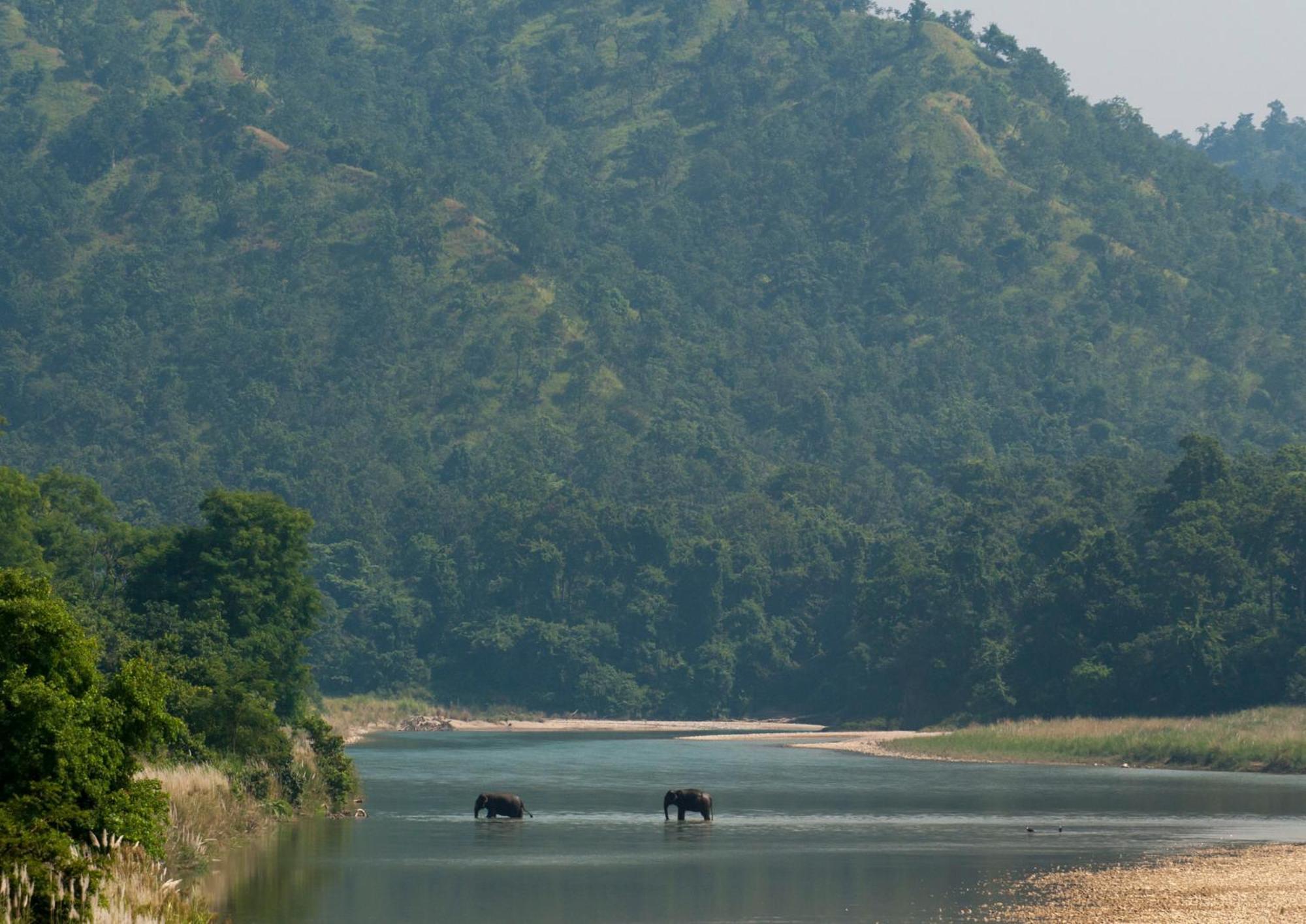 Tiger Tops Karnali Lodge Bardiya Buitenkant foto