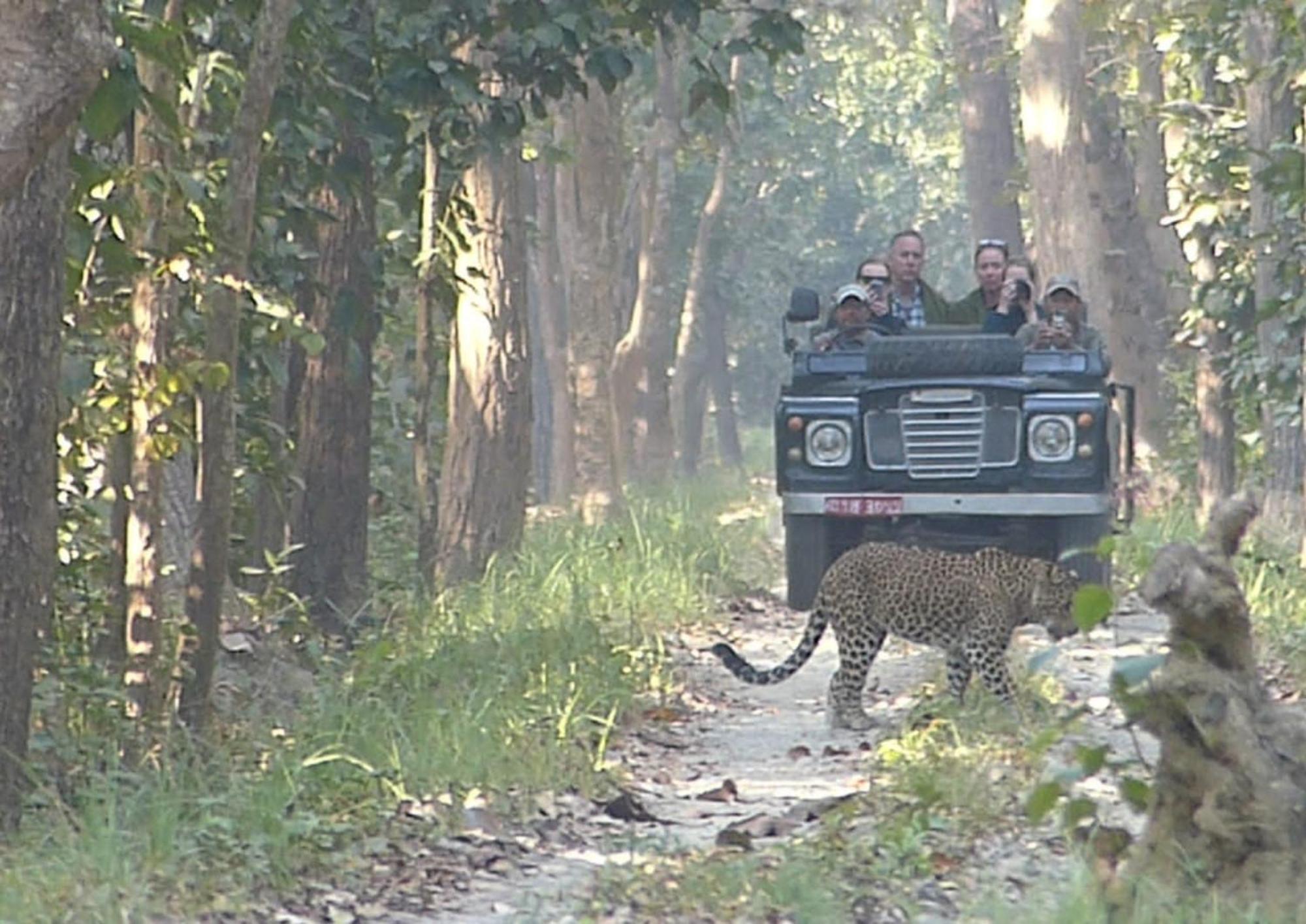 Tiger Tops Karnali Lodge Bardiya Buitenkant foto